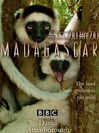 BBC：马达加斯加